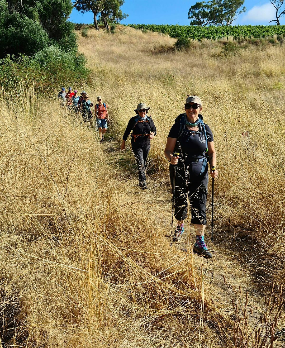 Willunga Basin Trail Section 6 - Sunday 4th August 2024