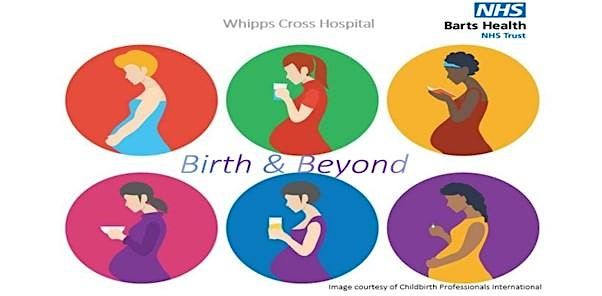 Birth and Beyond Online Tuesday afternoon 1:30pm-4pm - DEVIATIONS
