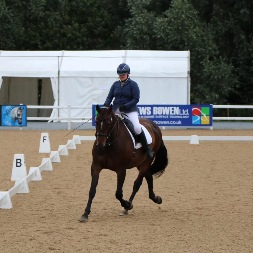 Team TDRC - Intermediate Dressage Qualifers 