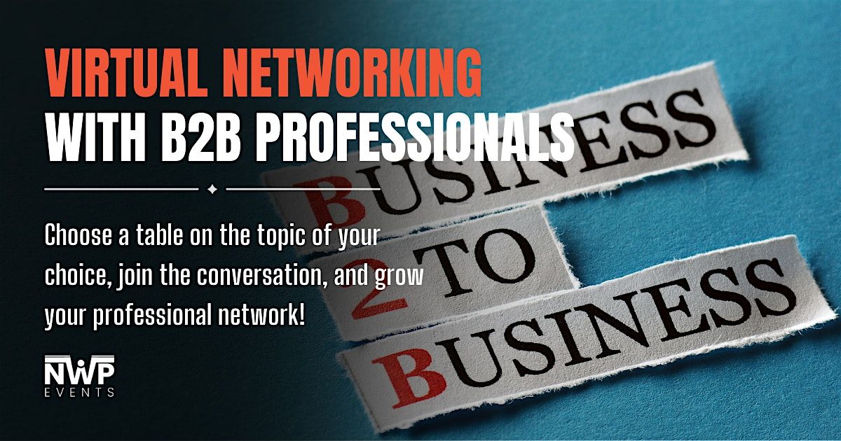 Virtual Networking with B2B Professionals