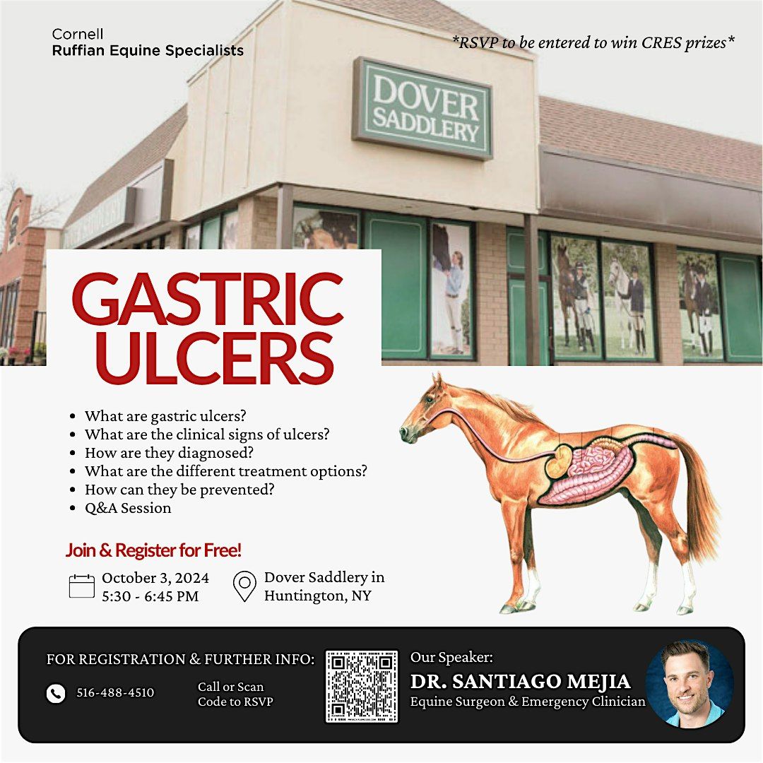 Dealing with Equine  Gastic Ulcers