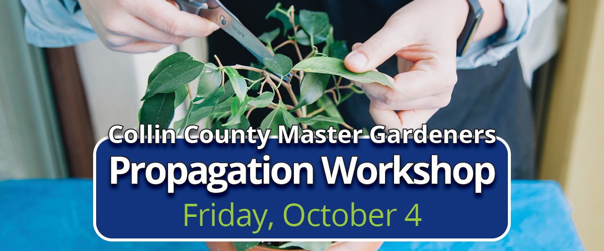 Propagation Workshop