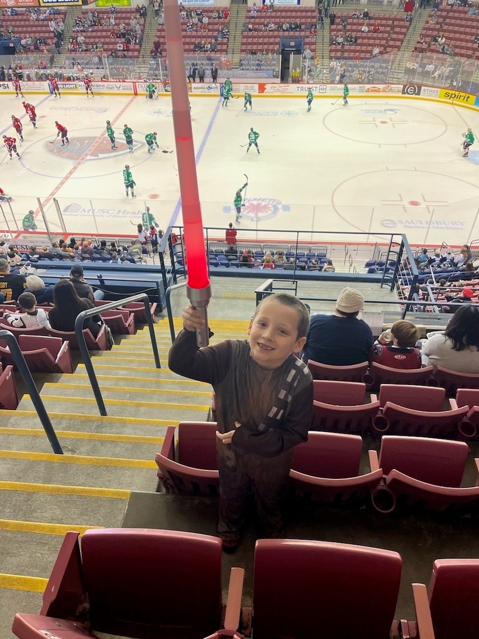 Florida Everblades at South Carolina Stingrays