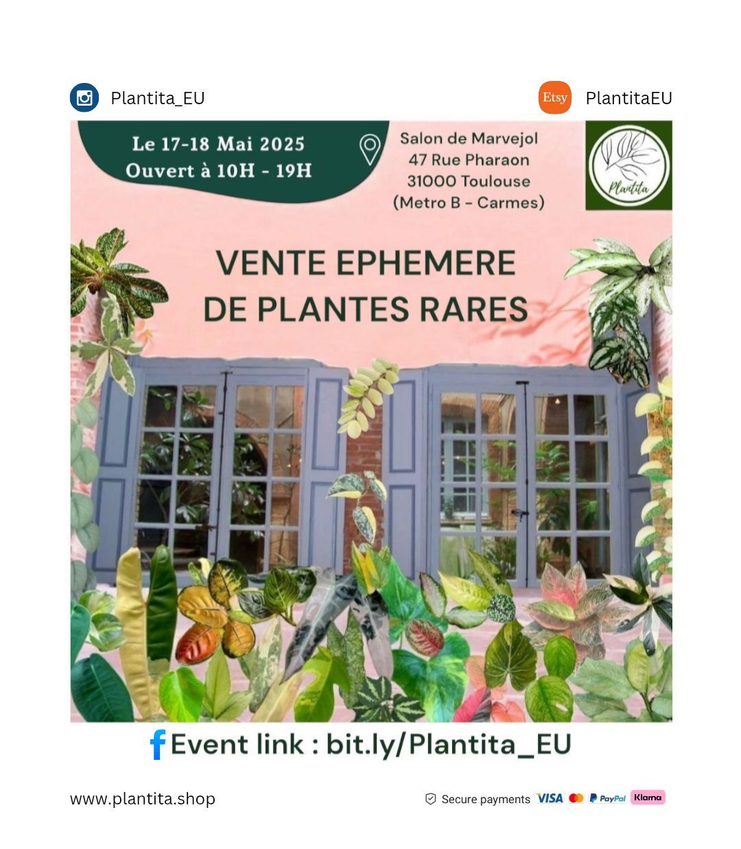 Vente \u00e9ph\u00e9m\u00e8re de plantes rares Toulouse 