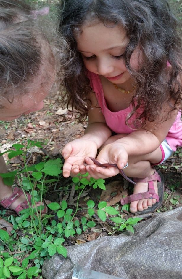 Building Worm Homes with Caroline Helm