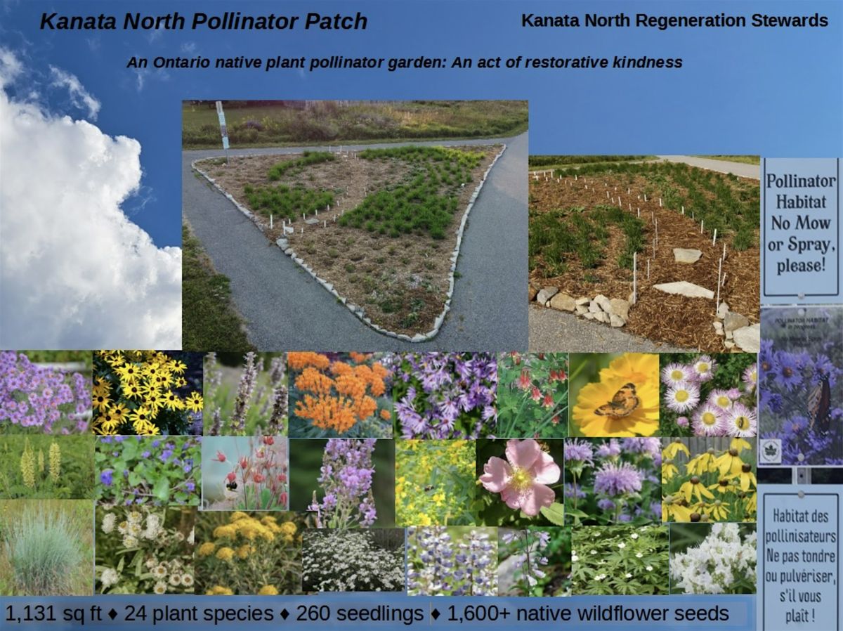 Planting a Pollinator Pathway