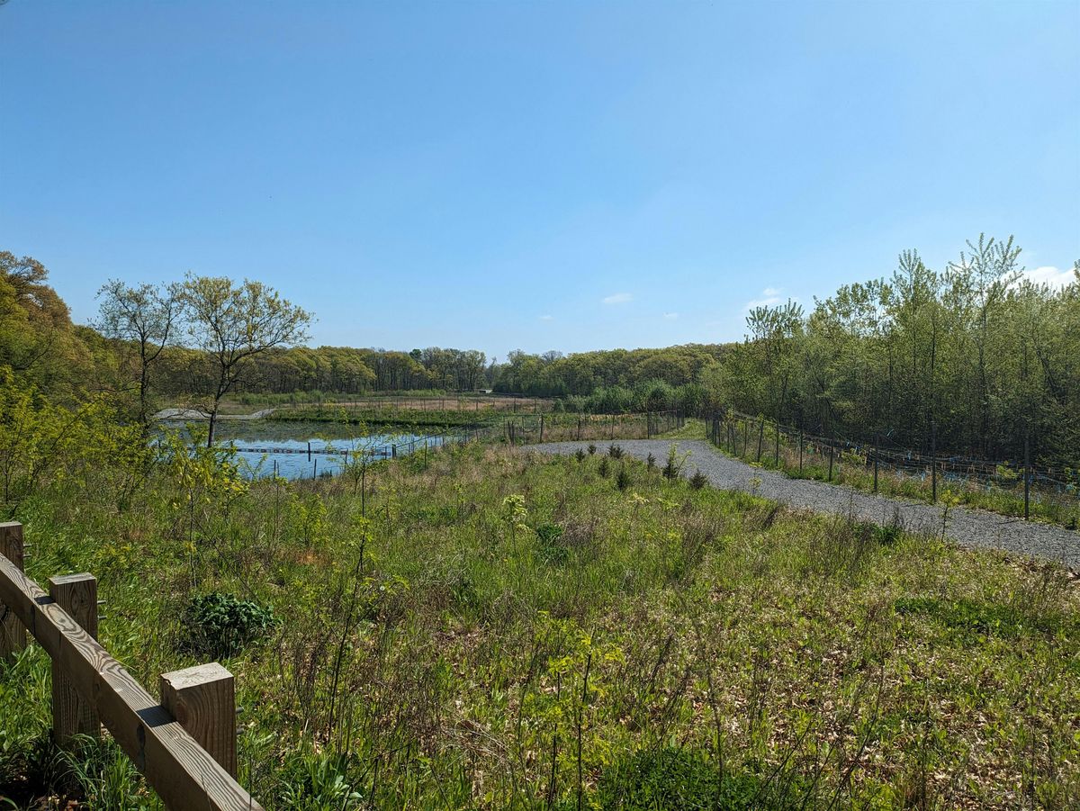 Walking the Wetlands: Adult Program(ages 18+), $4 per adult upon arrival