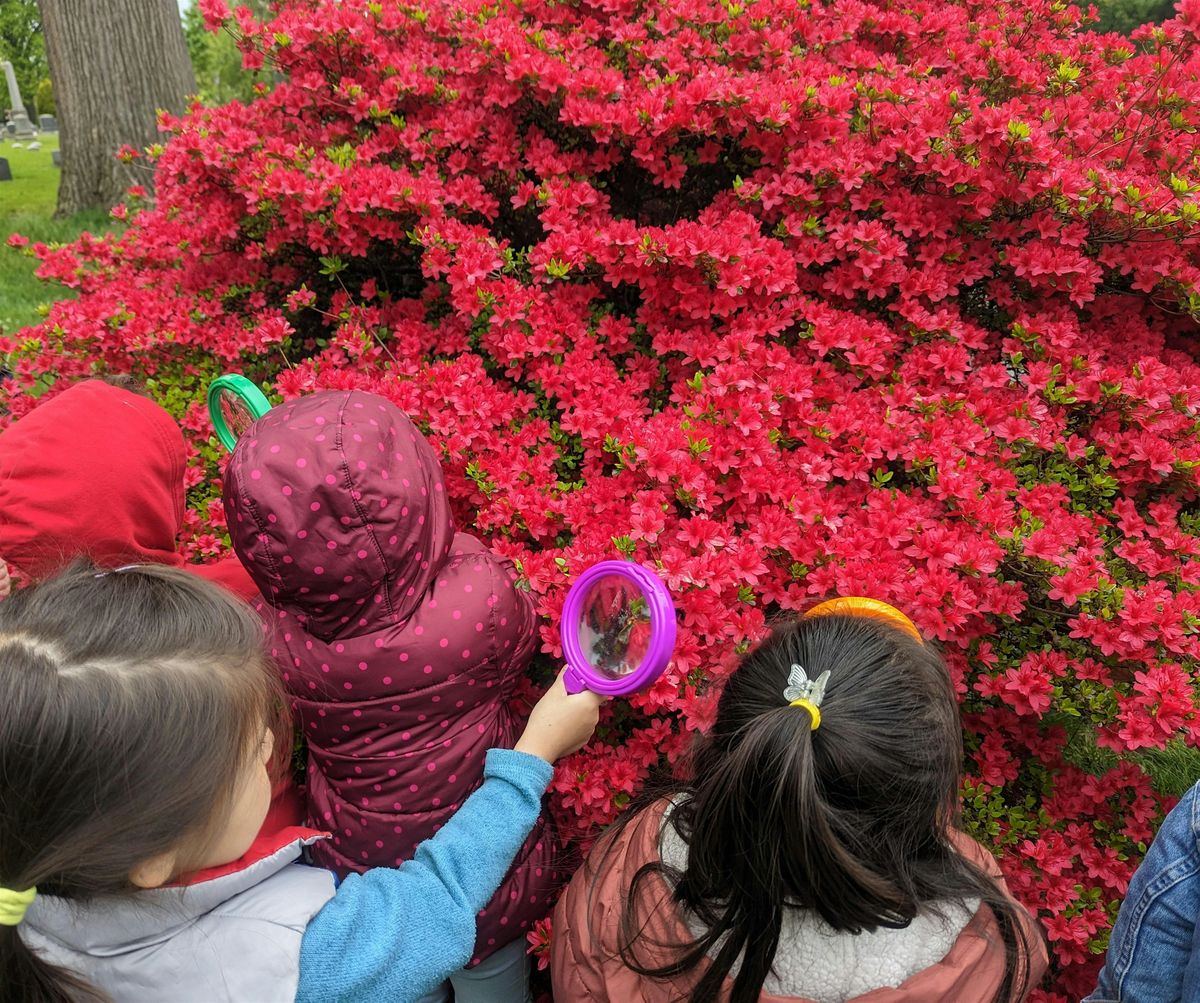 Meet Your Green Neighbors: Walk for Kids