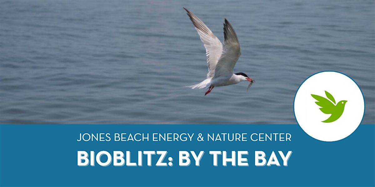 BioBlitz: By the Bay (Adults & Teens, Ages 12+)