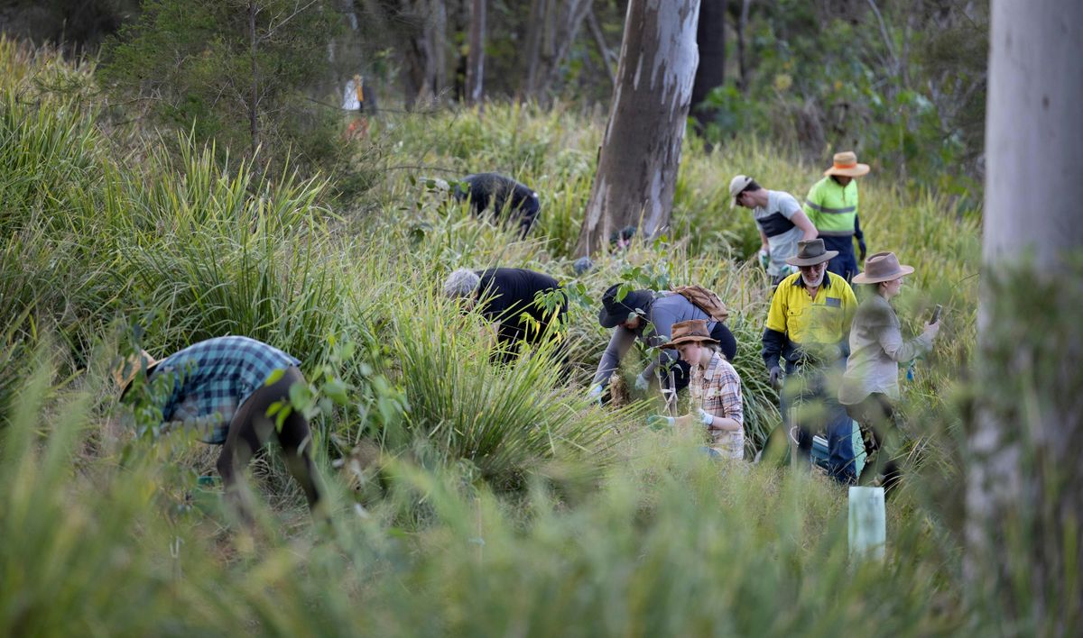 National Tree Day - Habitat Planting