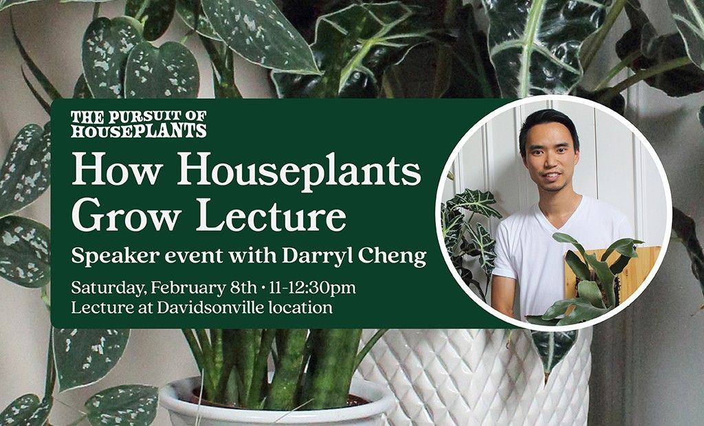 How Houseplants Grow with Darryl Cheng