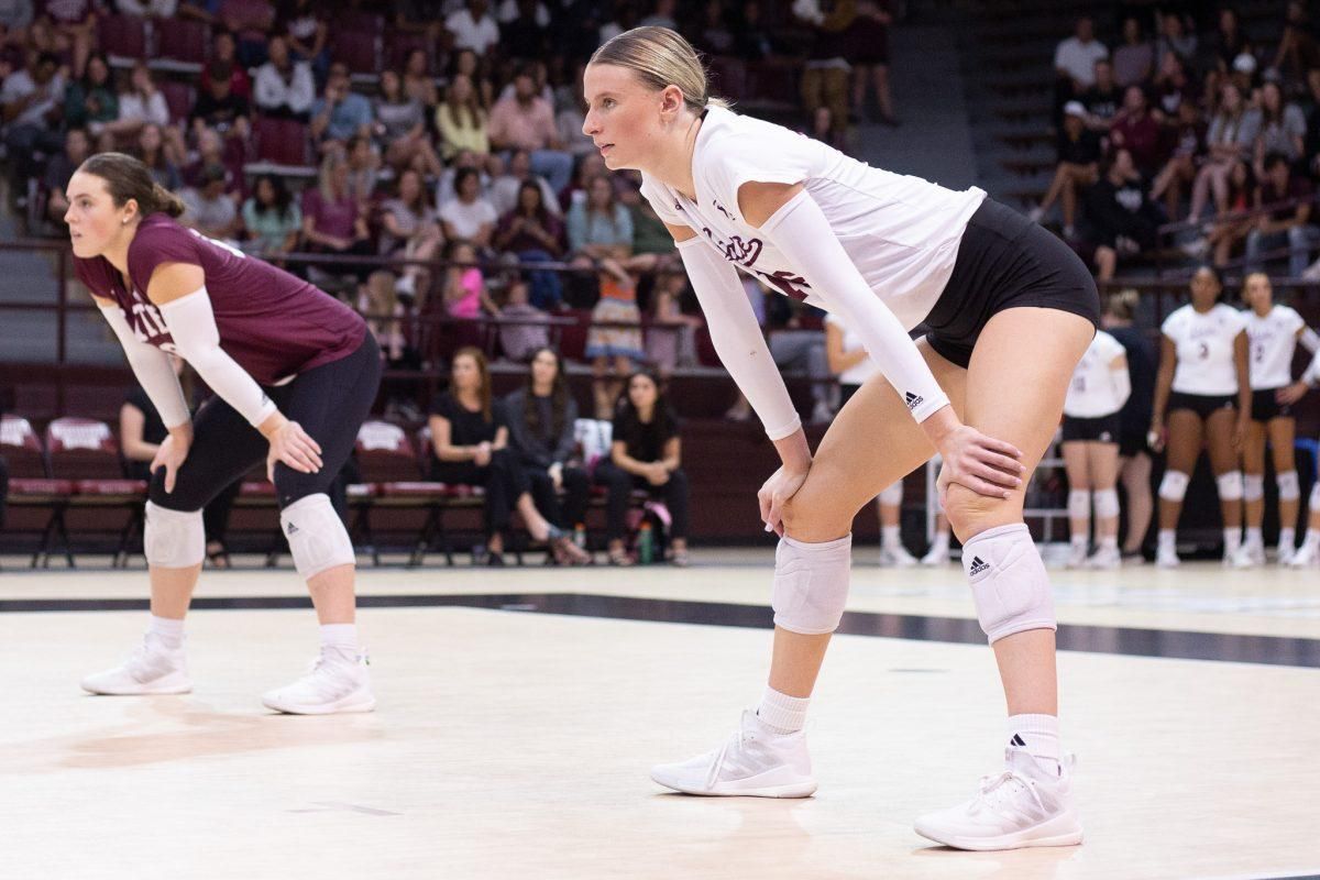 Georgia Bulldogs at Tennessee Lady Volunteers Womens Volleyball