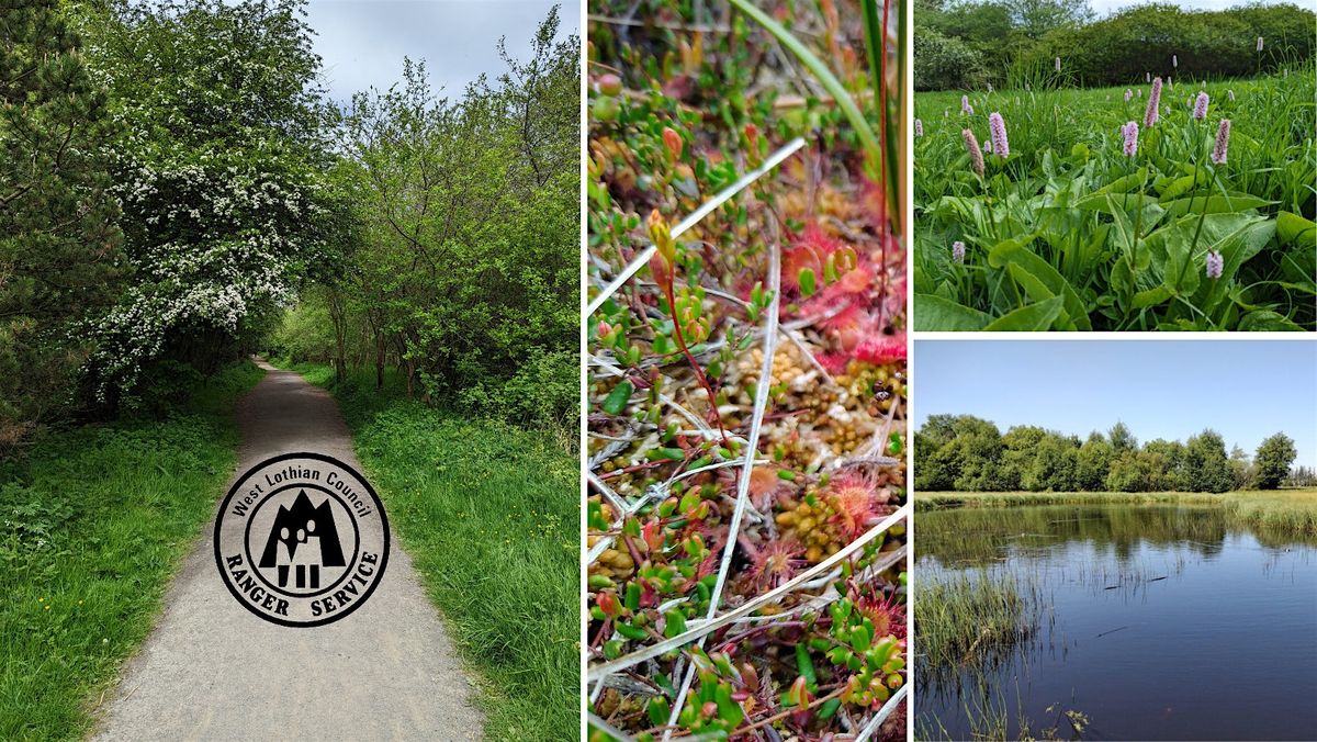 Black Moss Volunteer Session