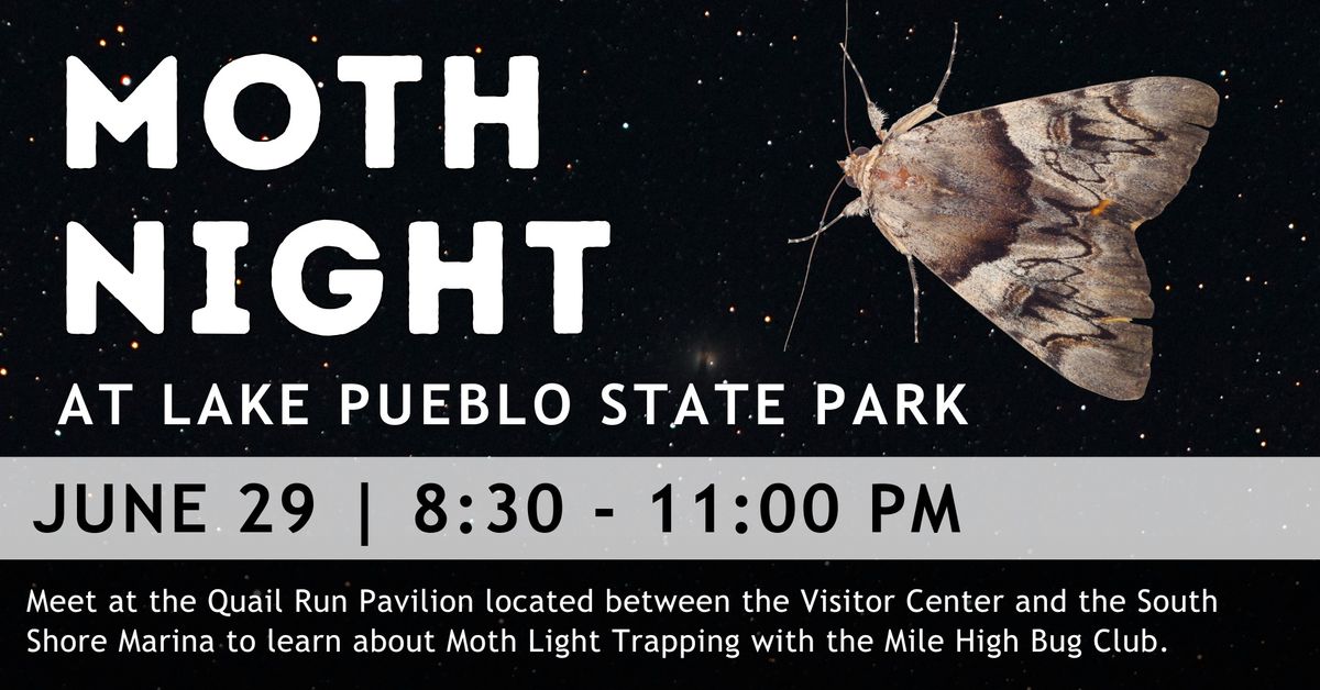 Moth Night with Mile High Bug Club!