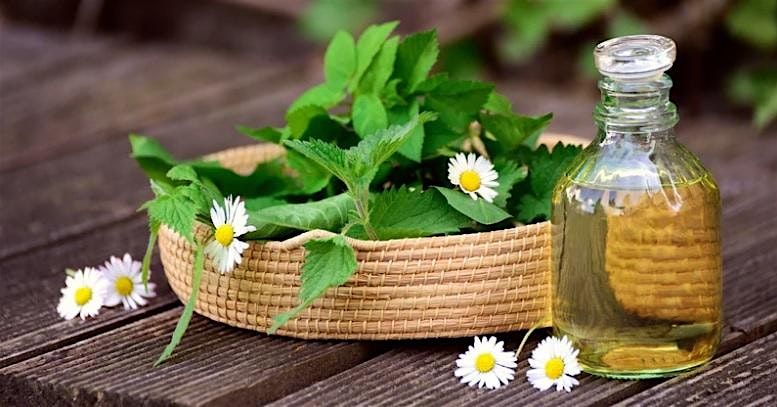 Medicinal and Culinary Herb Garden