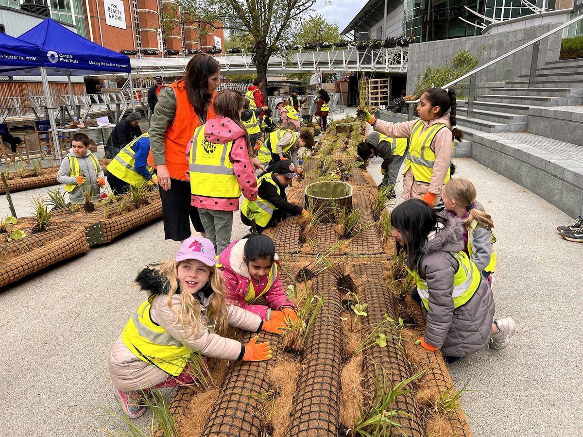 Let's Plant  Floating Eco-Systems  - Southall Wellbeing Way