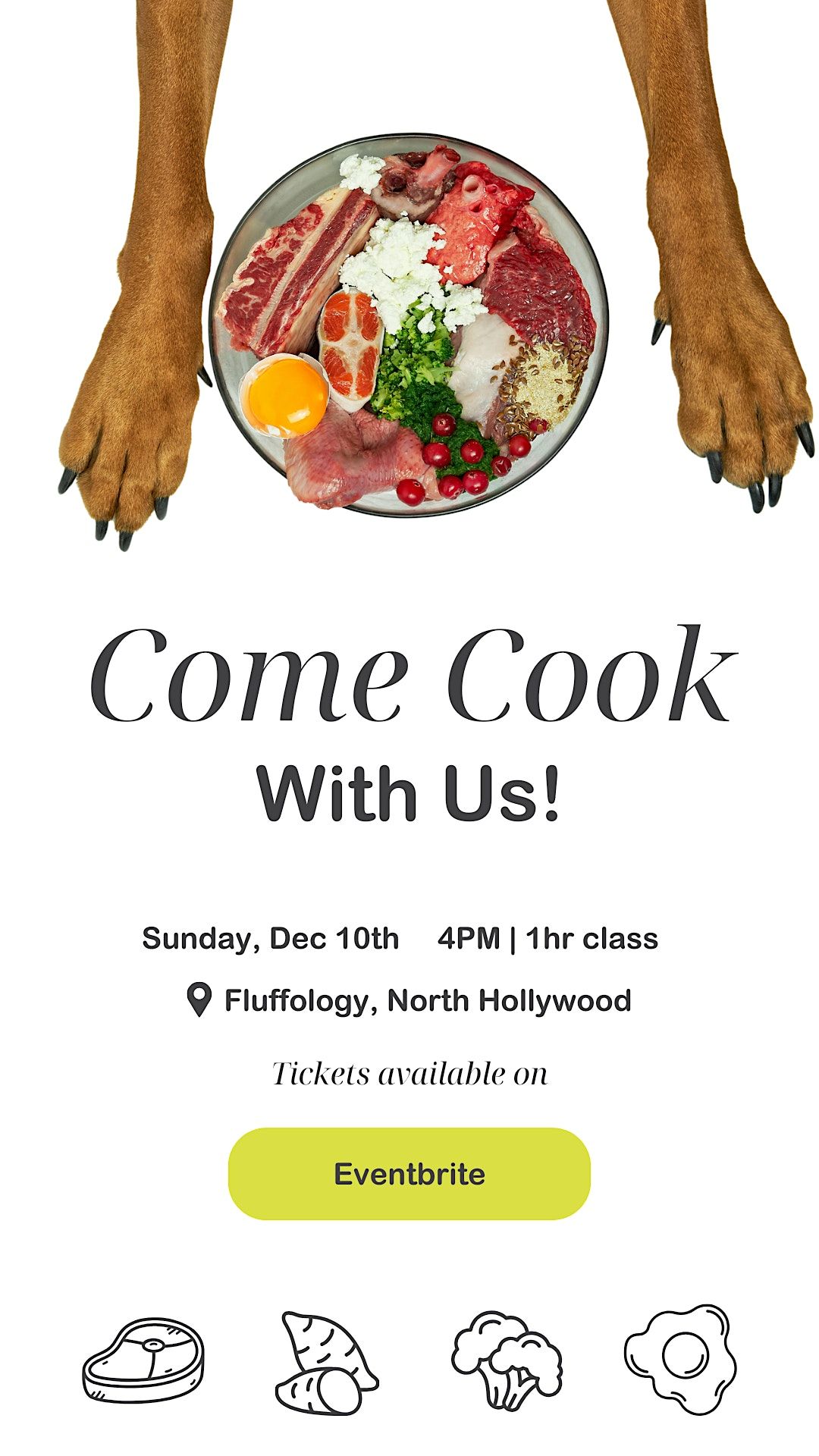 Cooking For Dogs!