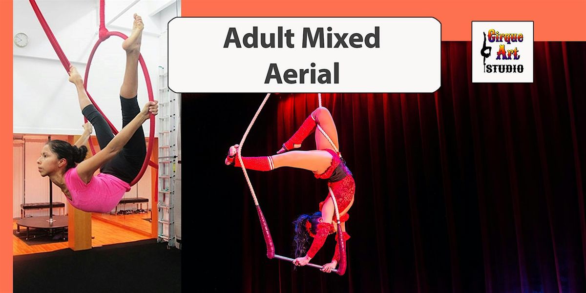 Adult Mixed Aerial Class
