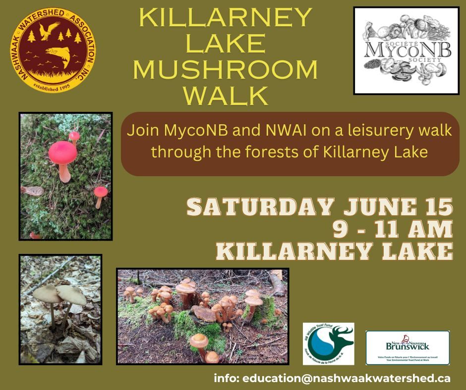 Killarney Lake Mushroom Walk