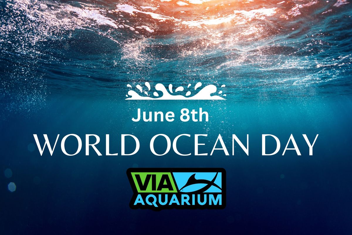 World Ocean Day - Via Aquarium - June 8th