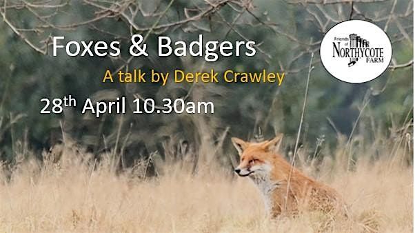 Foxes and Badgers a Talk by Derek Crawley