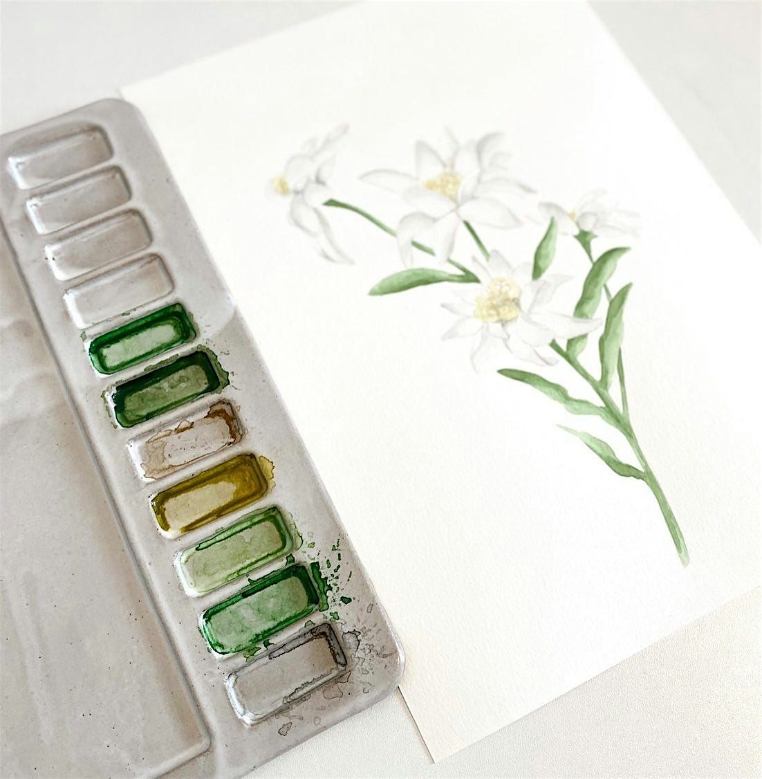 Botanical Watercolour Workshop with Kate Hall