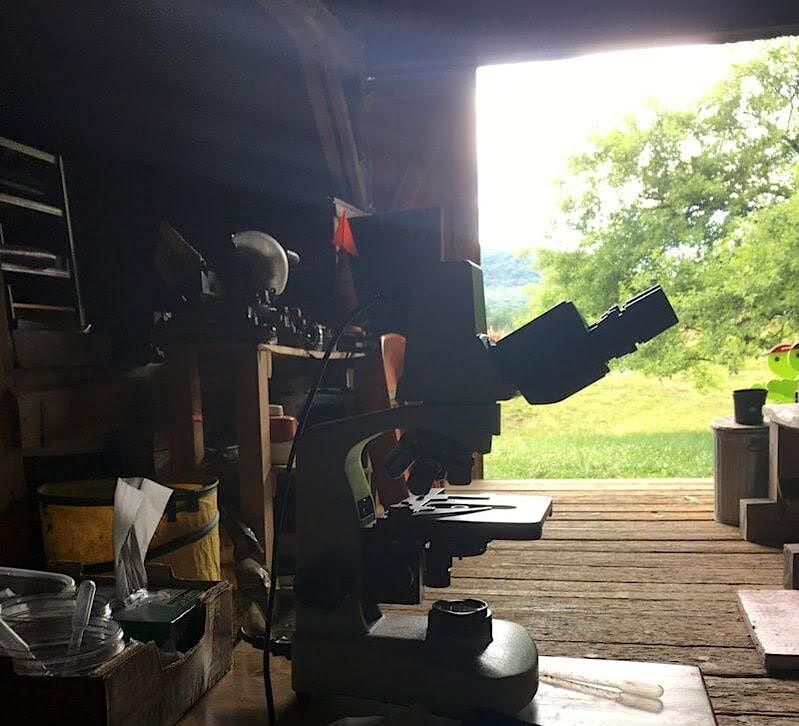 Soil Health and Microscopy with Monique Bosch, Hillandale Farm