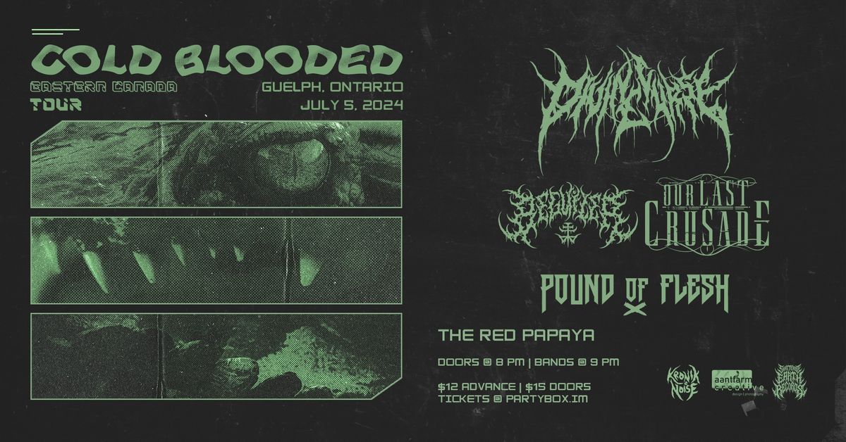 DIVINE CURSE wsg\/ BEGUILER, OUR LAST CRUSADE, POUND OF FLESH IN GUELPH 