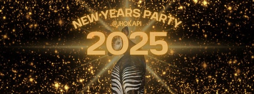 New Years Party @Okapi