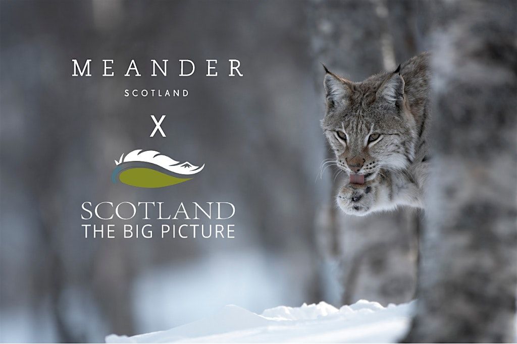 Launch Event & Film Screening: Meander X SCOTLAND: The Big Picture  x KMG