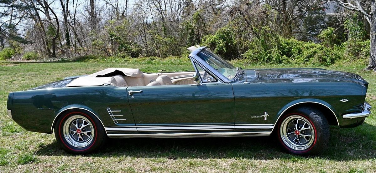 Baileys Crossroads Rotary Club Mixer, Pistone's Italian Inn, Falls