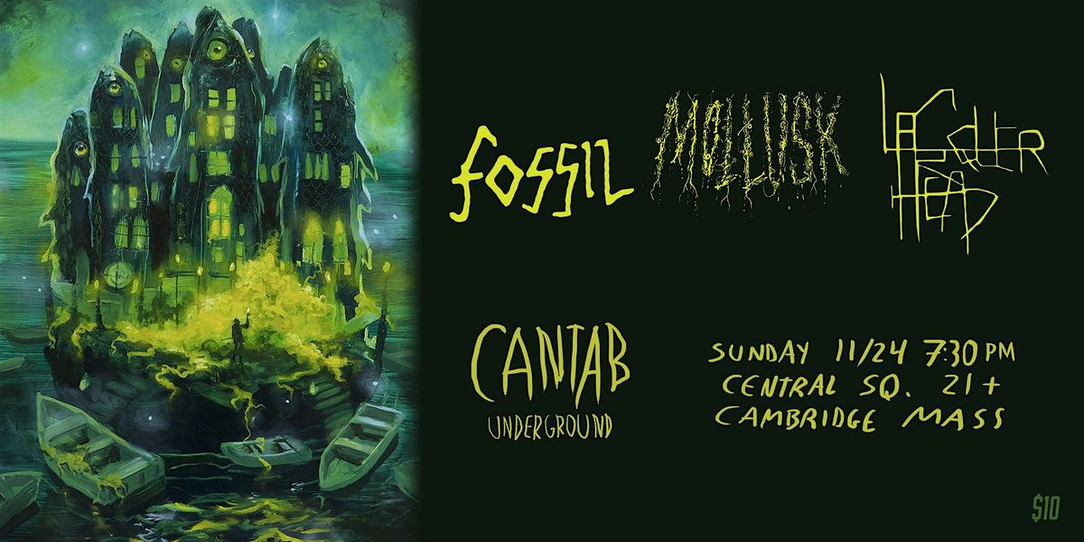 Cantab Underground: Fossil, Mollusk, Lacquerhead