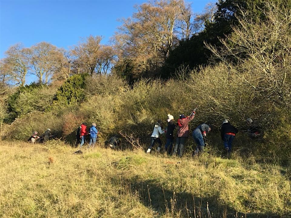 Green Thursday Chairborough Big Scrub Bash