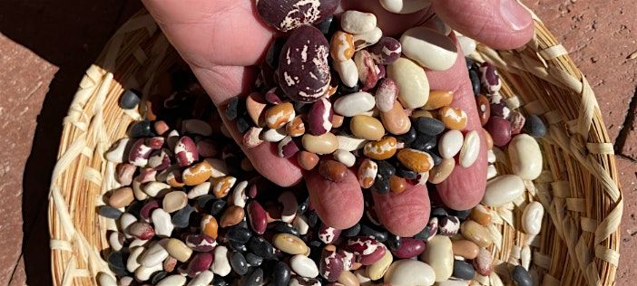 Seed Saving Workshop, BZP Tuolumne County