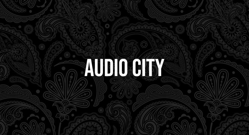 Audio City at West Moor Social Club