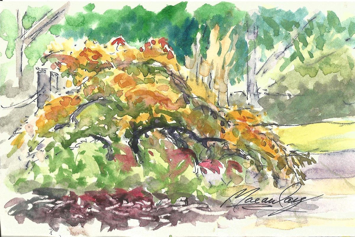 Kath Macaulay-Pocket Sketching Online Class