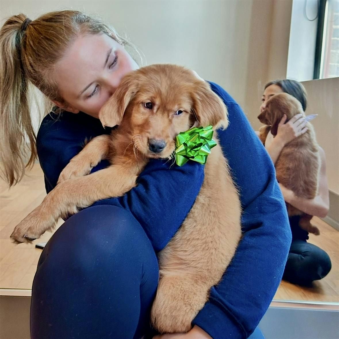 Puppy Yoga USA  - Chicago