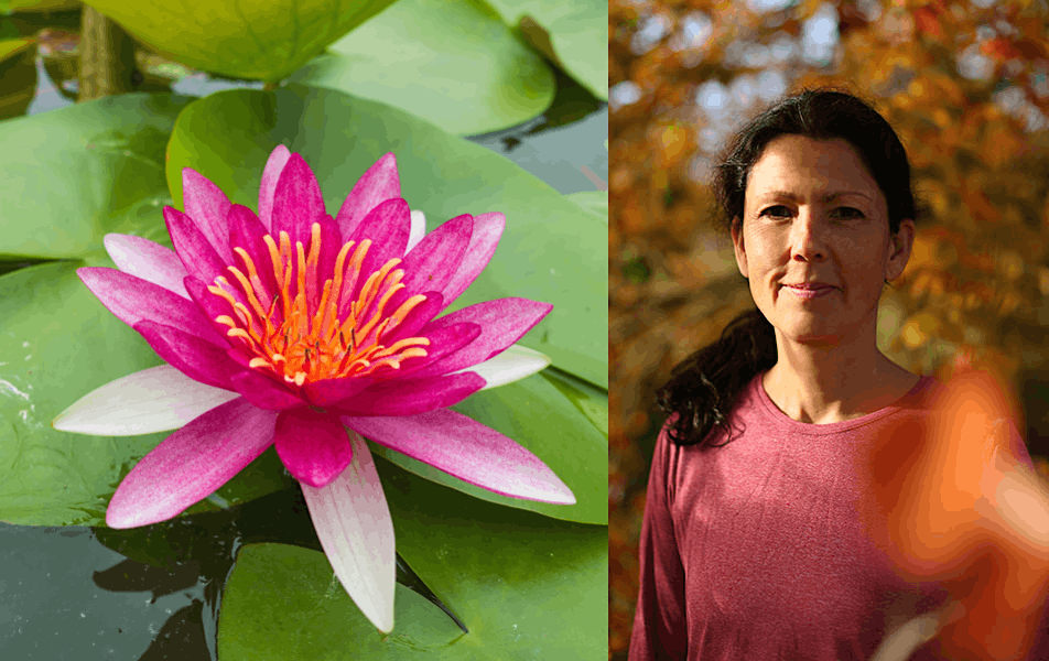 A day of practice in the Insight meditation tradition with Jaya Rudgard