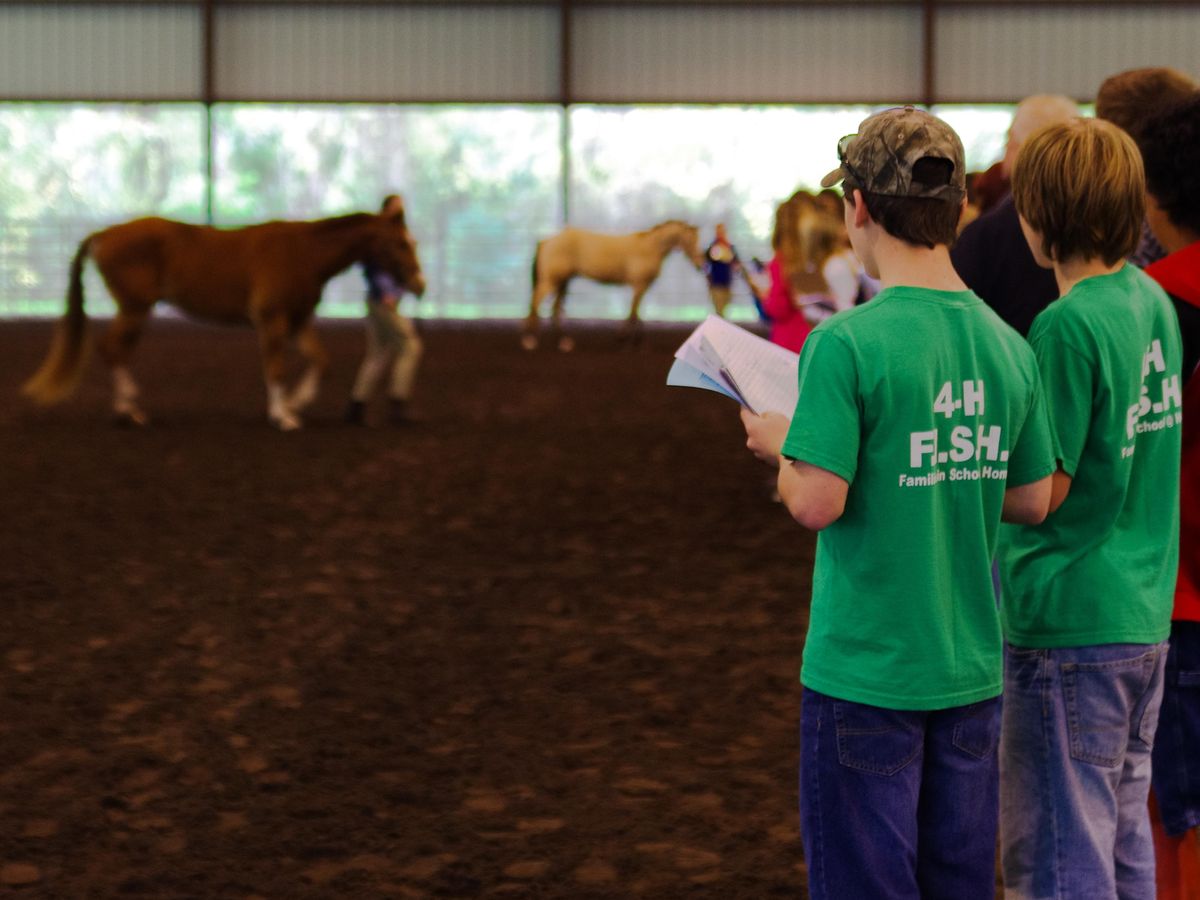 2022 Florida 4-H\/FFA Horse Judging School