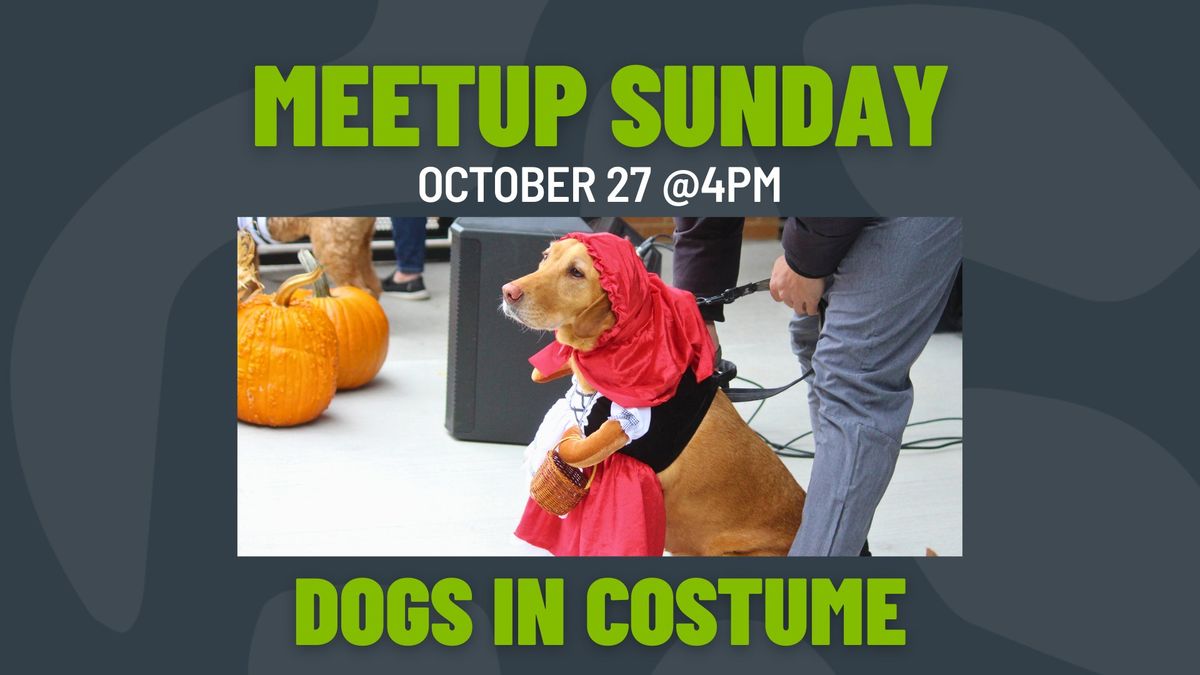 Meetup Sunday: Dogs in Costume