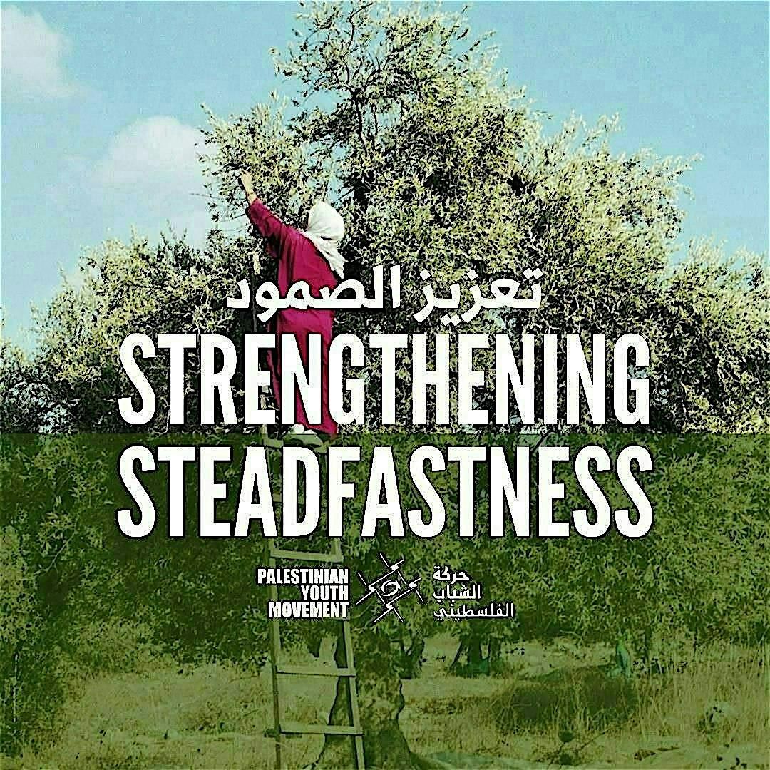 Strengthening Steadfastness: Community Picnic and Fundraiser for Gaza