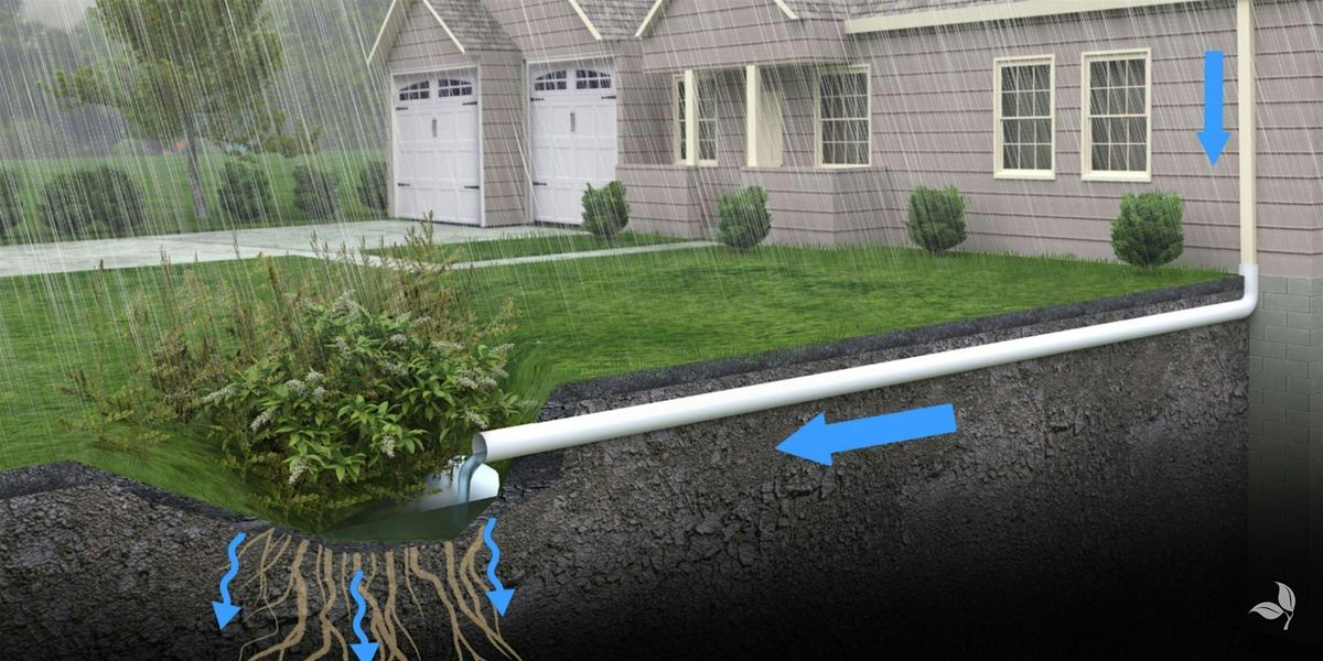 Rain Gardens & Drainage Lecture