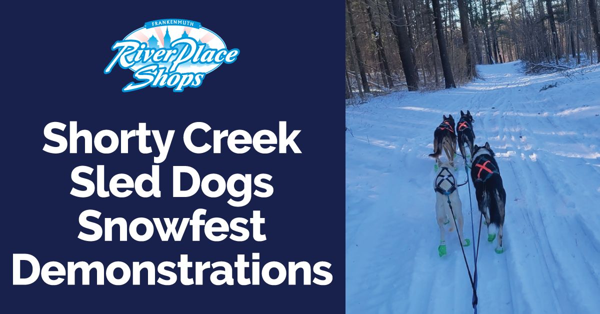 Shorty Creek Sled Dogs Snowfest Demonstrations