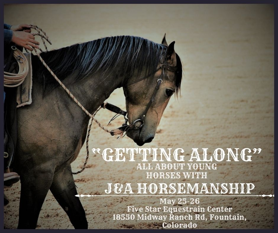 "Getting along" Clinic for young Horses.
