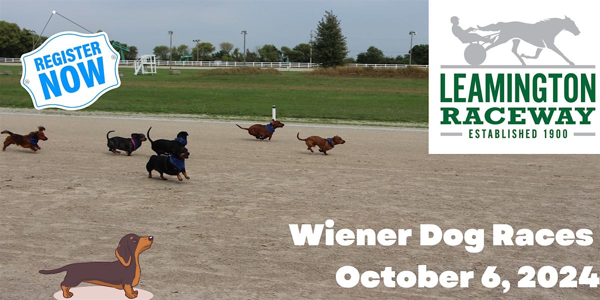2024 Leamington Raceway Wiener Dog Races, Leamington Raceway, 6 October ...