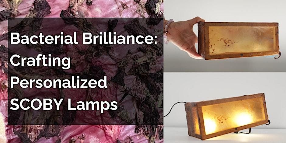 Bacterial Brilliance: Crafting personalized SCOBY Lamps