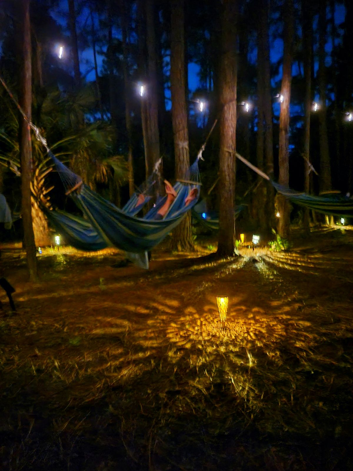 Moonlit Meditation and Sound Bath in Pine Forest Hammocks