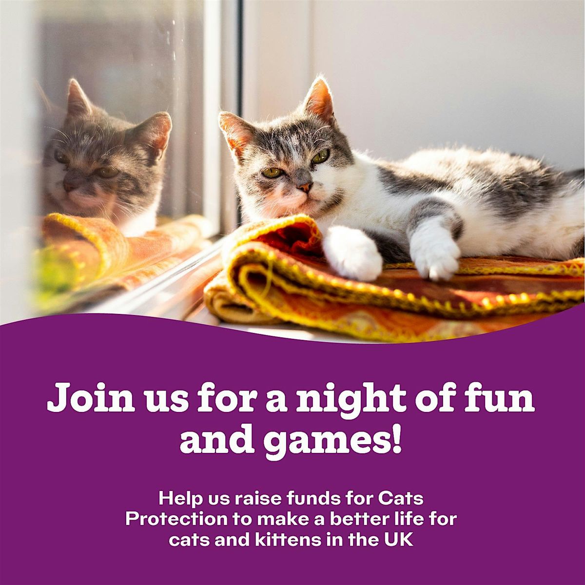 Fundraising night for Cats Protection