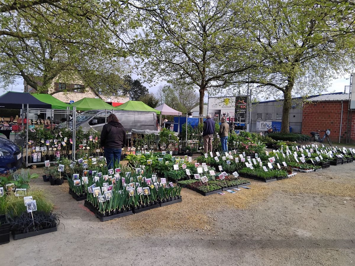 9de Groenmarkt Tuinhier Oudegem