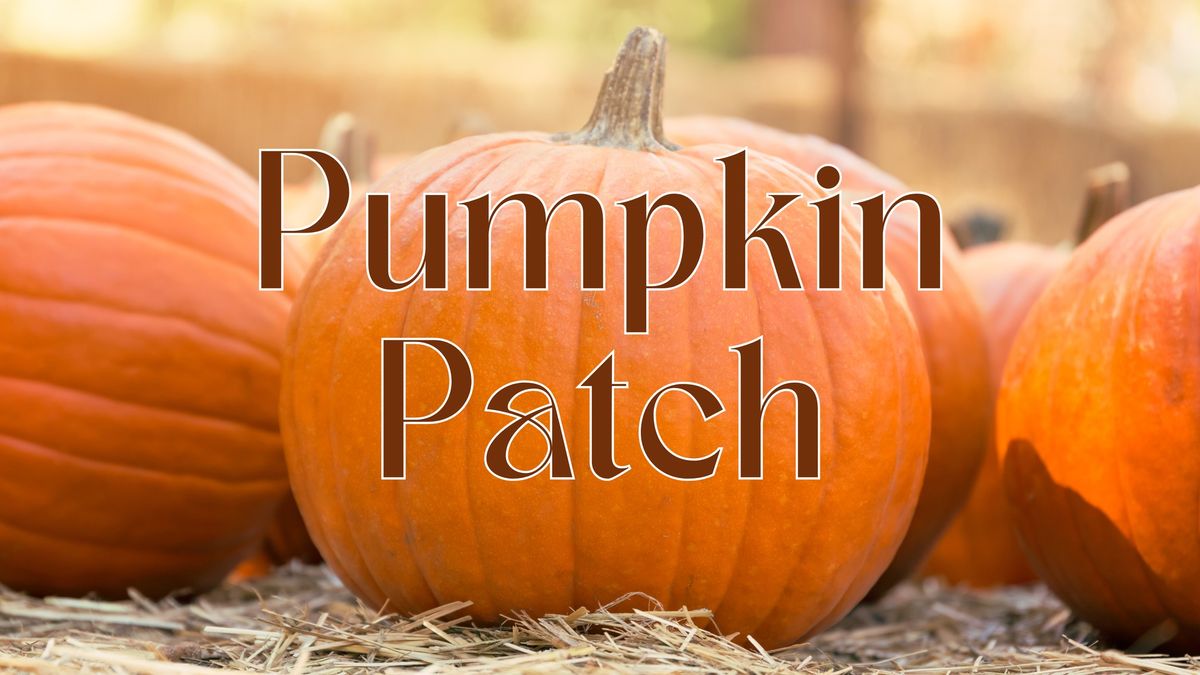 Pumpkin Patch